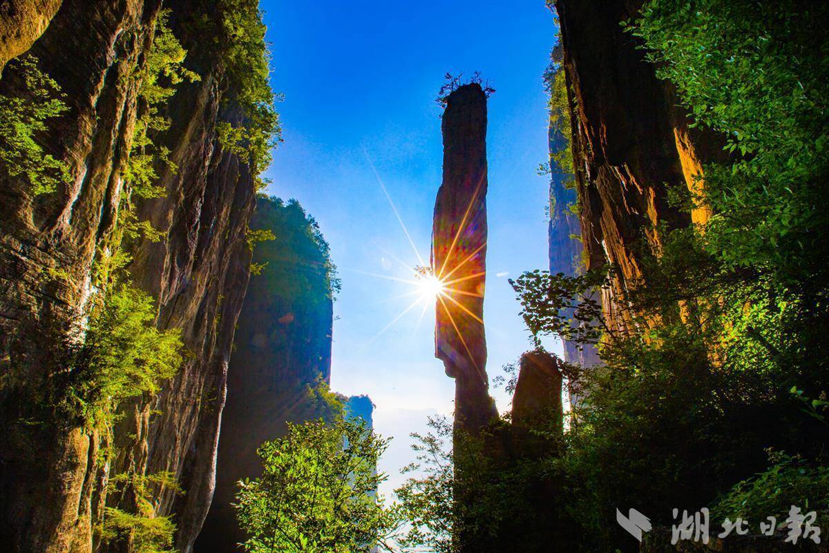 财神发发发老虎机下分版